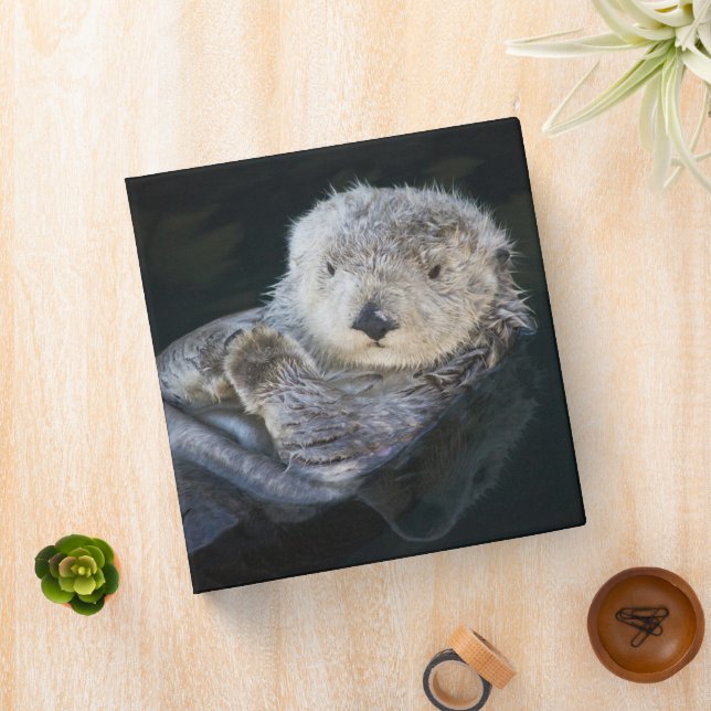 Cutest Baby Animals | Sea Otter Floating 3 Ring Binder (In Situ)