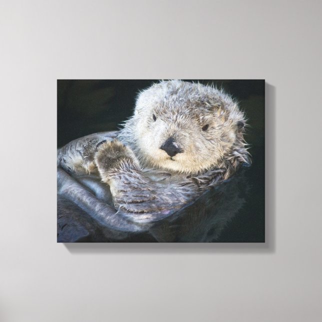 Cutest Baby Animals | Sea Otter Floating Canvas Print (Front)