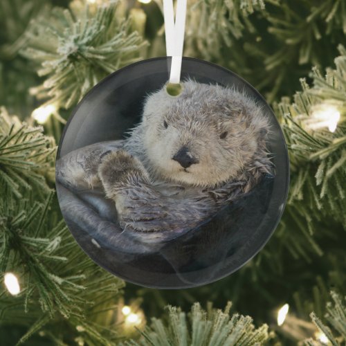 Cutest Baby Animals  Sea Otter Floating Glass Ornament