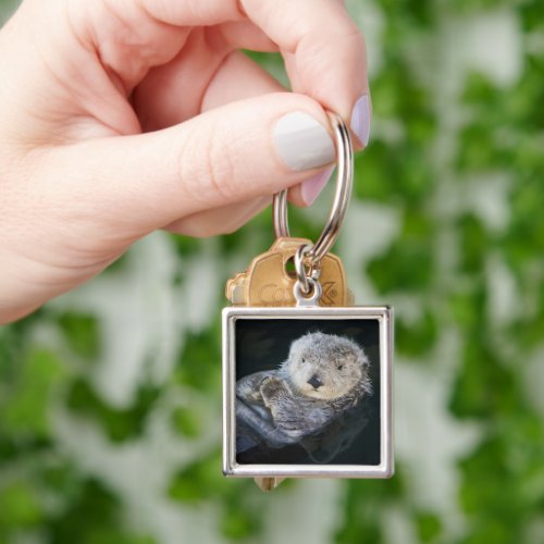 Cutest Baby Animals  Sea Otter Floating Keychain