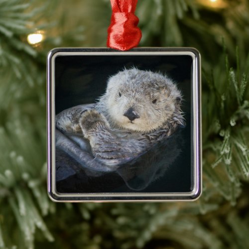 Cutest Baby Animals  Sea Otter Floating Metal Ornament