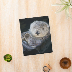 Cutest Baby Animals Sea Otter Floating Mini Binder