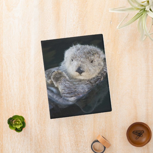 Cutest Baby Animals | Sea Otter Floating Mini Binder (InSitu)