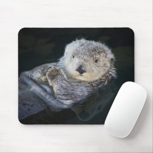 Cutest Baby Animals  Sea Otter Floating Mouse Pad