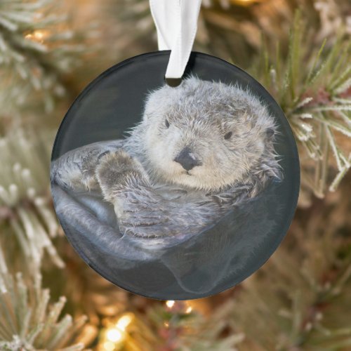 Cutest Baby Animals  Sea Otter Floating Ornament