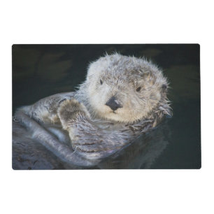 Cutest Baby Animals Sea Otter Floating Placemat