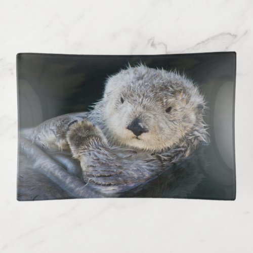 Cutest Baby Animals  Sea Otter Floating Trinket Tray