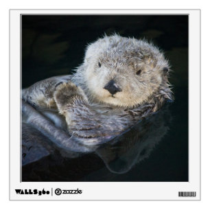 Cutest Baby Animals Sea Otter Floating Wall Decal