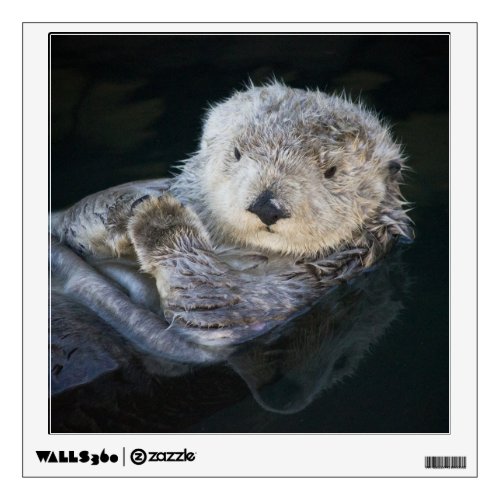 Cutest Baby Animals  Sea Otter Floating Wall Decal