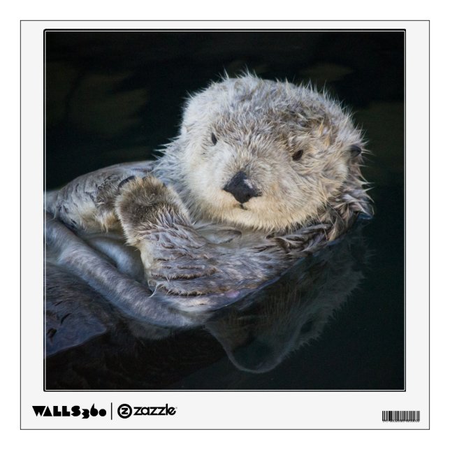 Cutest Baby Animals | Sea Otter Floating Wall Decal (Front)