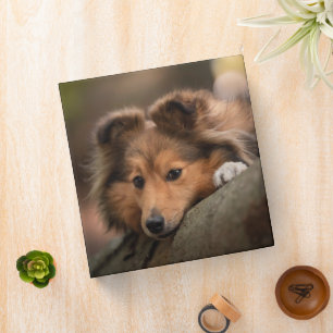 Cutest Baby Animals Shetland Sheepdog Puppy 3 Ring Binder