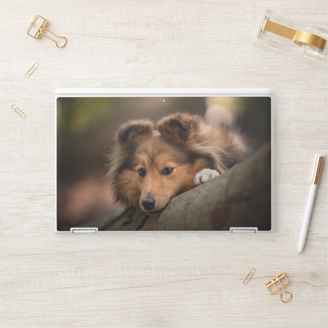 Cutest Baby Animals | Shetland Sheepdog Puppy HP Laptop Skin (Desk)