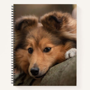 Cutest Baby Animals   Shetland Sheepdog Puppy Notebook
