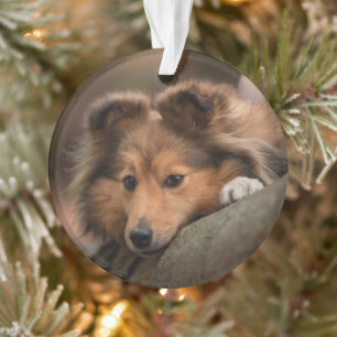 Cutest Baby Animals Shetland Sheepdog Puppy Ornament