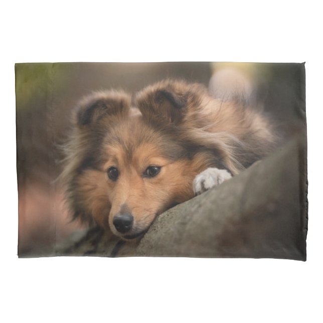 Cutest Baby Animals | Shetland Sheepdog Puppy Pillow Case (Front)