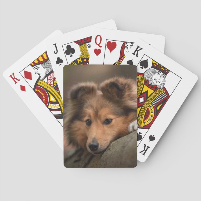 Cutest Baby Animals | Shetland Sheepdog Puppy Poker Cards (Back)