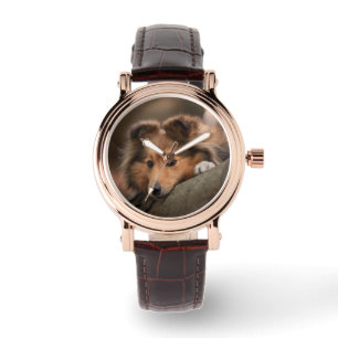 Cutest Baby Animals Shetland Sheepdog Puppy Watch