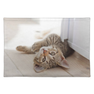Cutest Baby Animals Shorthair Tabby Kitten Cloth Placemat