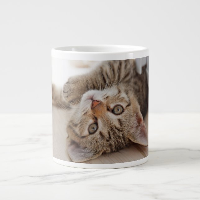 Cutest Baby Animals | Shorthair Tabby Kitten Giant Coffee Mug (Front)