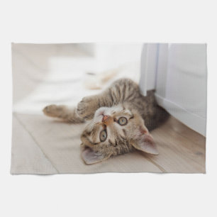Cutest Baby Animals Shorthair Tabby Kitten Kitchen Towel