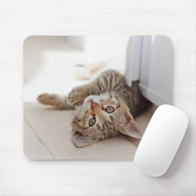 Cutest Baby Animals | Shorthair Tabby Kitten Mouse Pad (With Mouse)