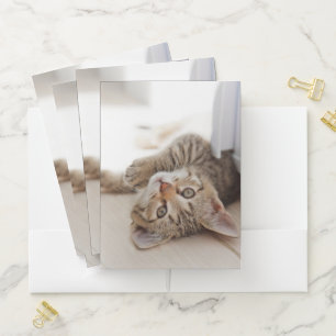 Cutest Baby Animals Shorthair Tabby Kitten Pocket Folder