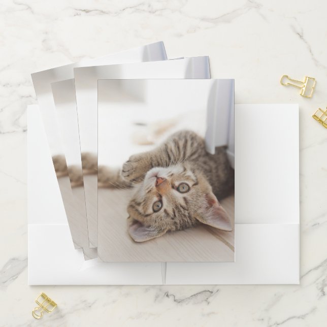 Cutest Baby Animals | Shorthair Tabby Kitten Pocket Folder (In Situ)