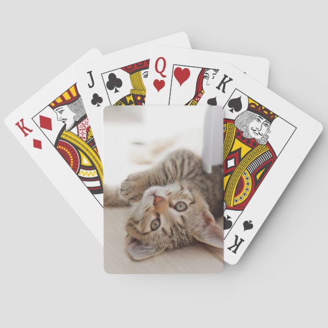 Cutest Baby Animals | Shorthair Tabby Kitten Poker Cards (Back)