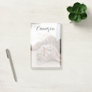 Cutest Baby Animals Shorthair Tabby Kitten Post-it Notes
