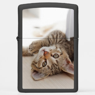 Cutest Baby Animals Shorthair Tabby Kitten Zippo Lighter