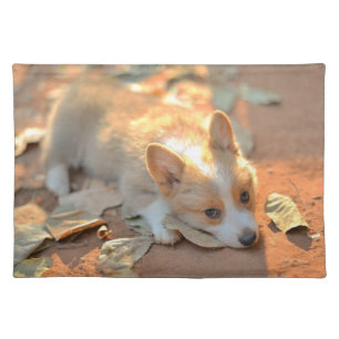Cutest Baby Animals Shy Corgi Cloth Placemat