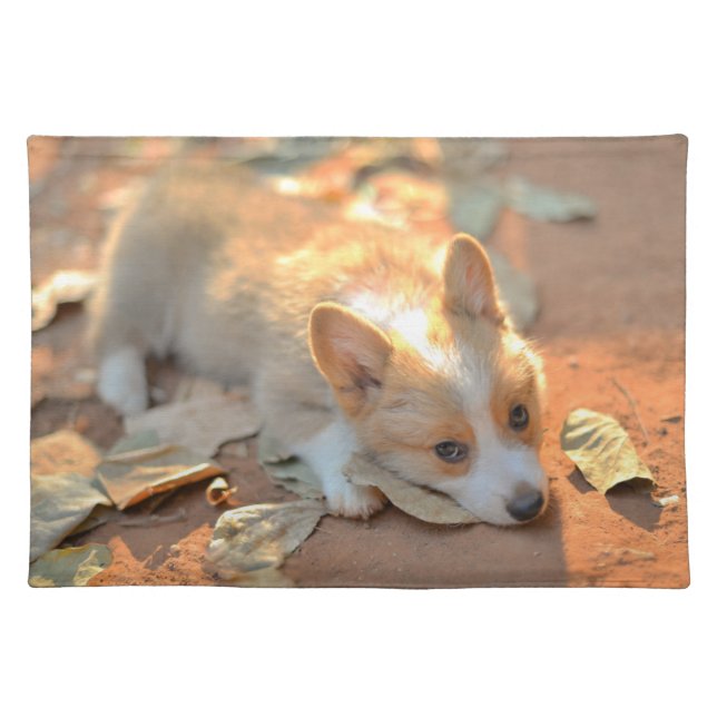 Cutest Baby Animals | Shy Corgi Cloth Placemat (Front)