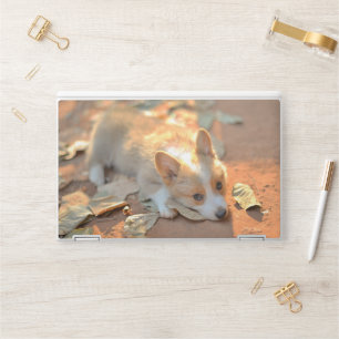 Cutest Baby Animals Shy Corgi HP Laptop Skin
