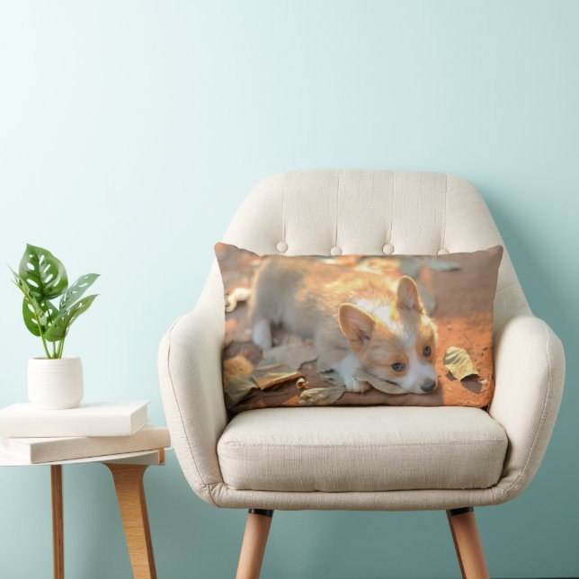 Cutest Baby Animals | Shy Corgi Lumbar Pillow (Chair)