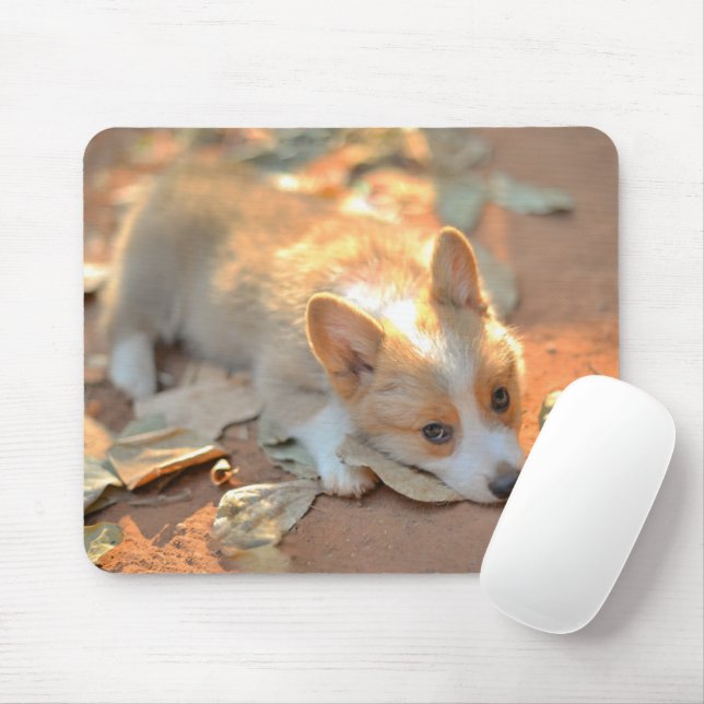 Cutest Baby Animals | Shy Corgi Mouse Pad (With Mouse)