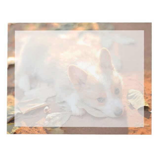 Cutest Baby Animals | Shy Corgi Notepad (Front)