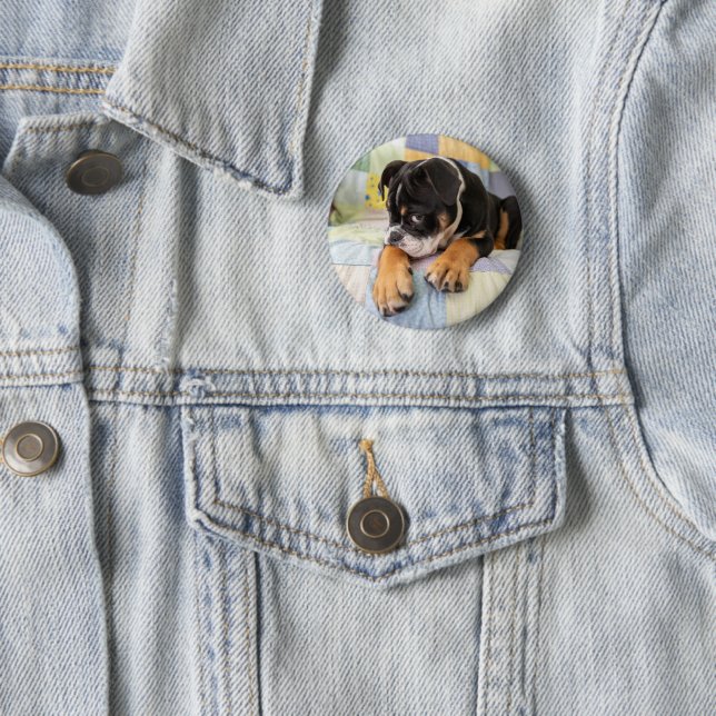 Cutest Baby Animals | Shy Old English Bulldog Button (In Situ)