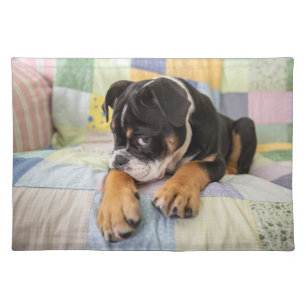 Cutest Baby Animals Shy Old English Bulldog Cloth Placemat