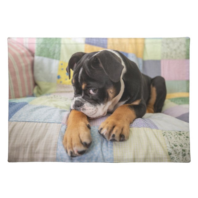 Cutest Baby Animals | Shy Old English Bulldog Cloth Placemat (Front)