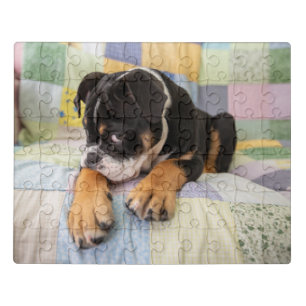 Cutest Baby Animals Shy Old English Bulldog Jigsaw Puzzle