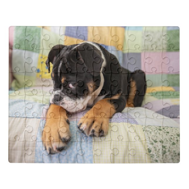 Cutest Baby Animals | Shy Old English Bulldog Jigsaw Puzzle (Puzzle Horizontal)