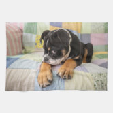 English Bulldog Tea Towel