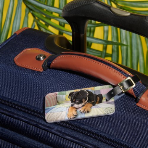 Cutest Baby Animals  Shy Old English Bulldog Luggage Tag
