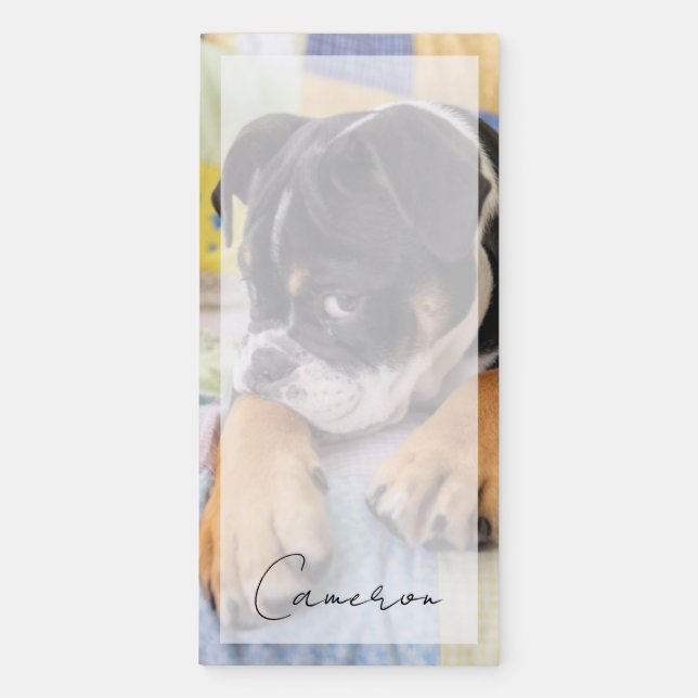 Cutest Baby Animals | Shy Old English Bulldog Magnetic Notepad (Front)