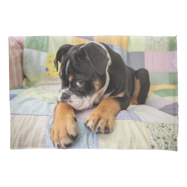 Cutest Baby Animals | Shy Old English Bulldog Pillow Case (Front)