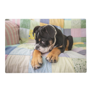 Cutest Baby Animals Shy Old English Bulldog Placemat
