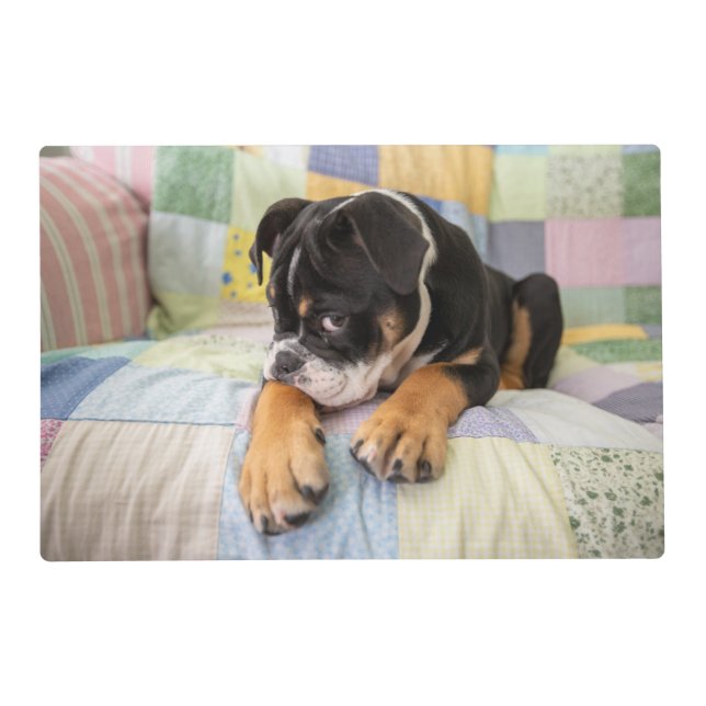 Cutest Baby Animals | Shy Old English Bulldog Placemat (Front)