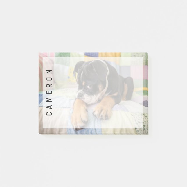 Cutest Baby Animals | Shy Old English Bulldog Post-it Notes (Front)