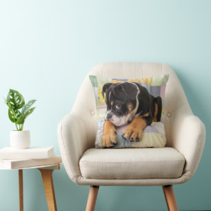 Cutest Baby Animals   Shy Old English Bulldog Throw Pillow