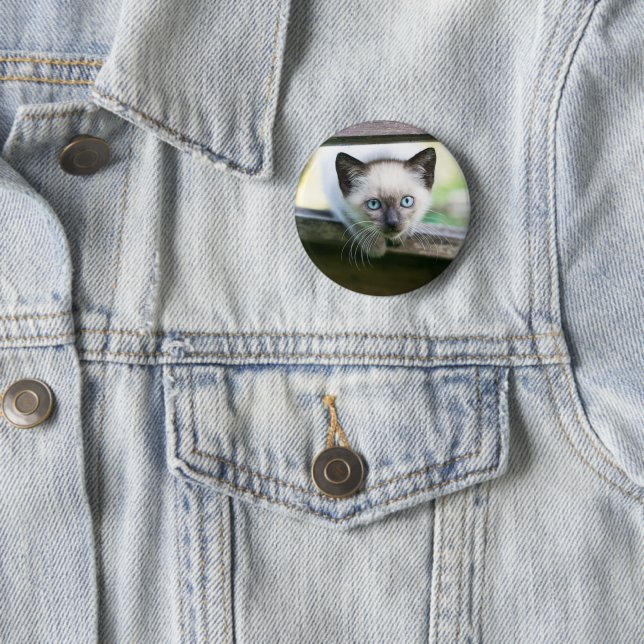 Cutest Baby Animals | Siamese Kitten 2 Button (In Situ)
